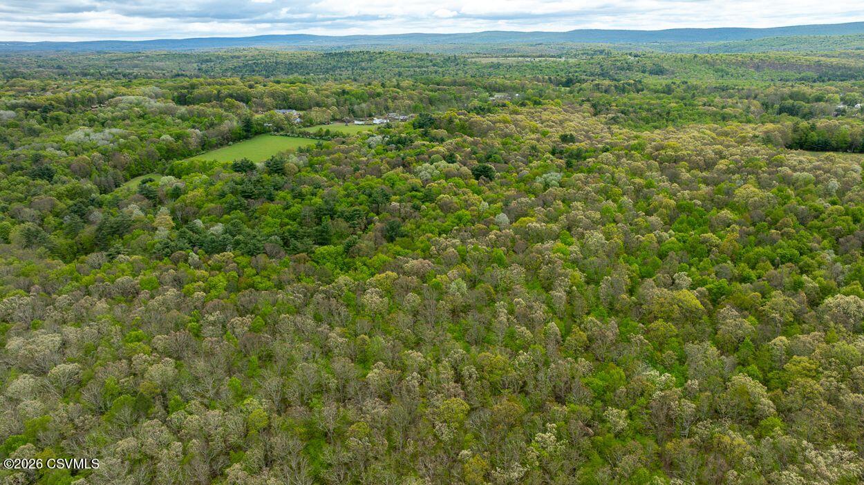 Firehall Road Sugarloaf, PA 18219 - Photo 7 of 17