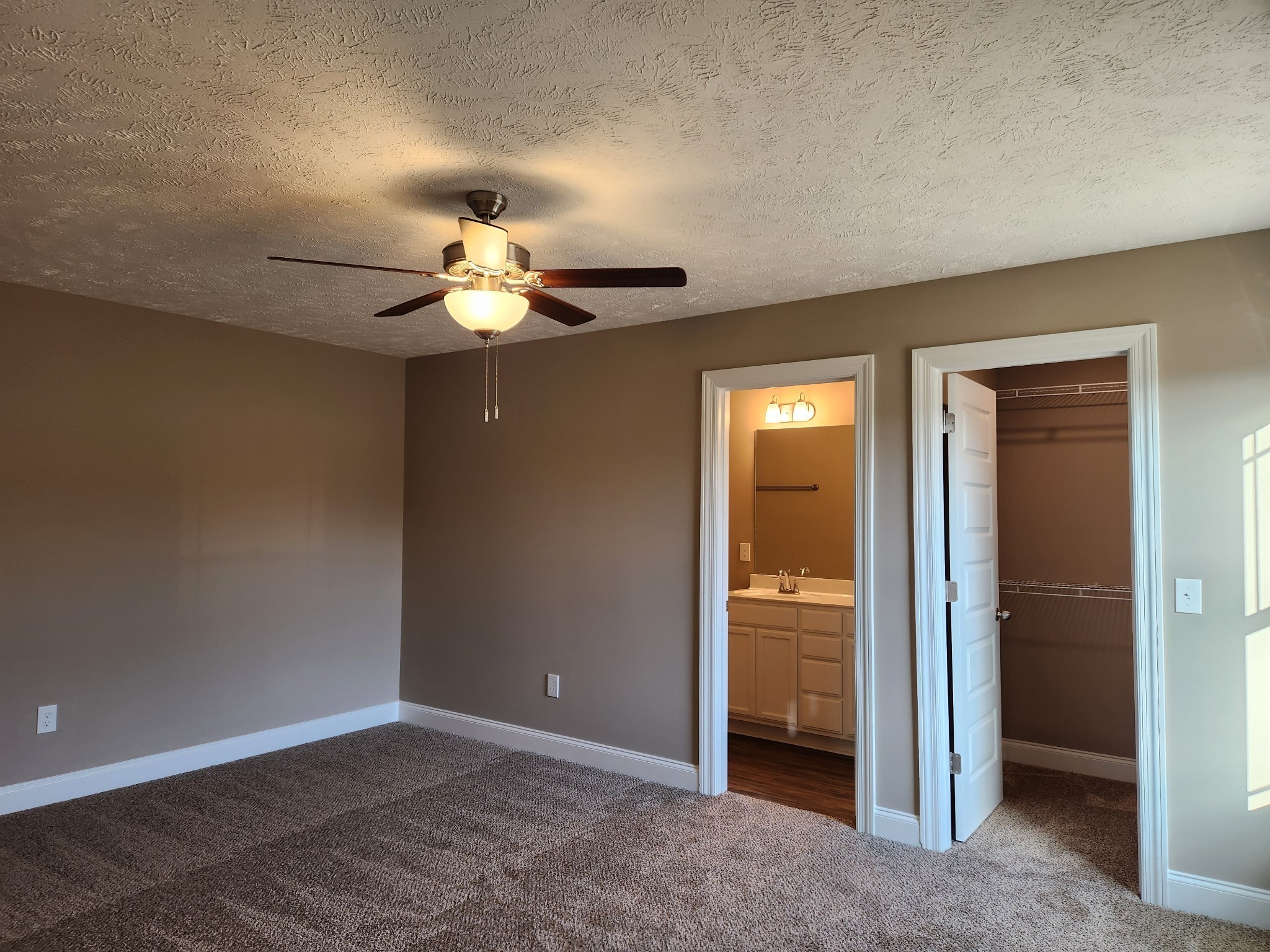 2005 Haystack Court Christiana, TN 37037 - Photo 13 of 59 Large Primary Bedroom with Full Bath and Walk-In Closet.
