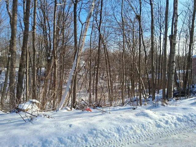 $285,000 | 17 Burleigh Street, Waterville, ME 04901