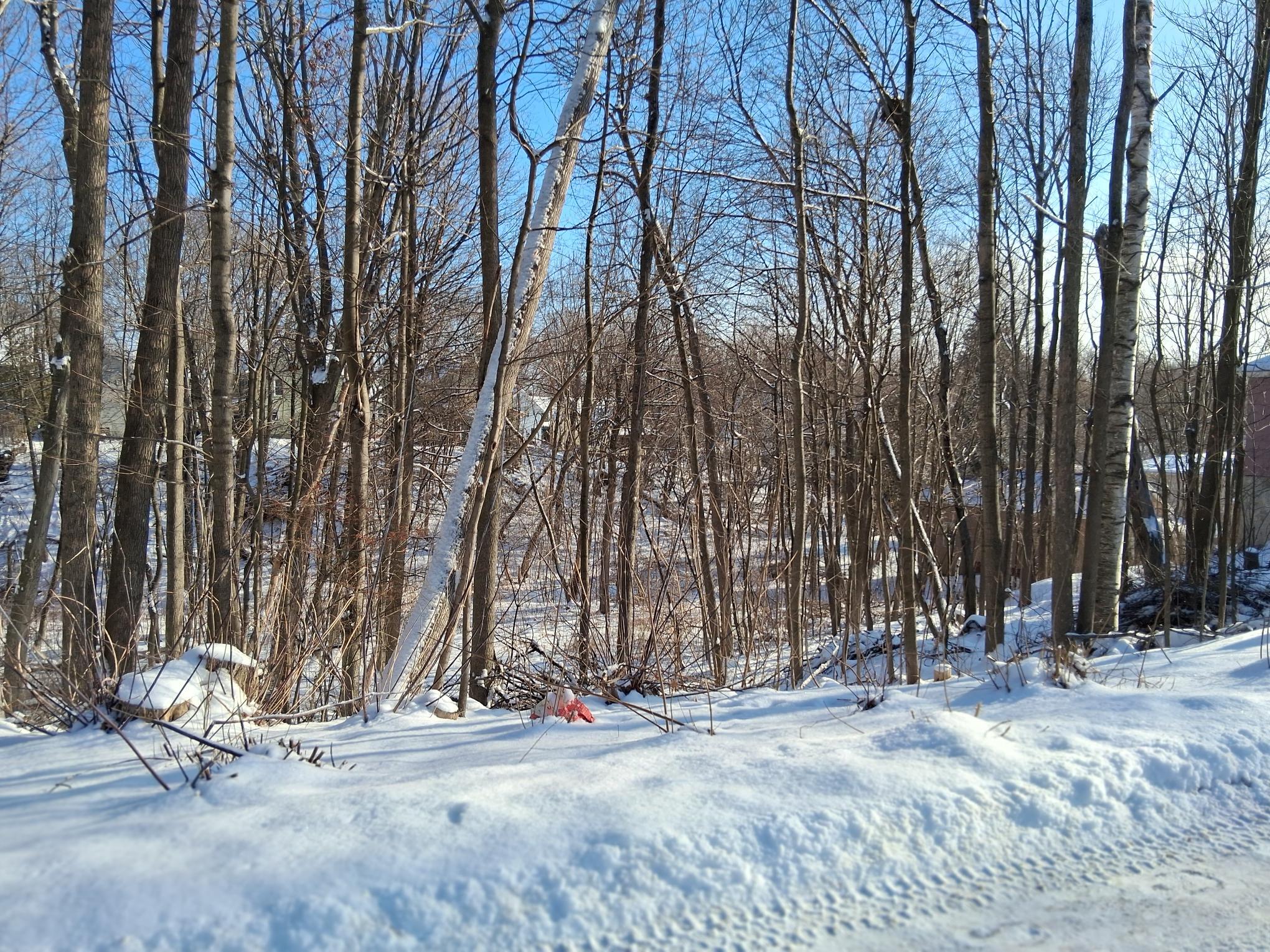 17 Burleigh Street Waterville, ME 04901 - Photo 39 of 44 Yard