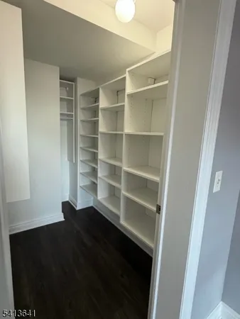a view of a walk in closet