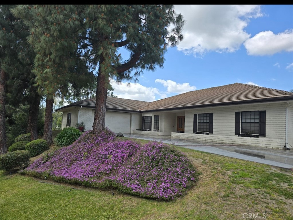 12698 La Solana Drive Redlands, CA 92373 - Photo 1 of 65 a front view of house with yard and trees