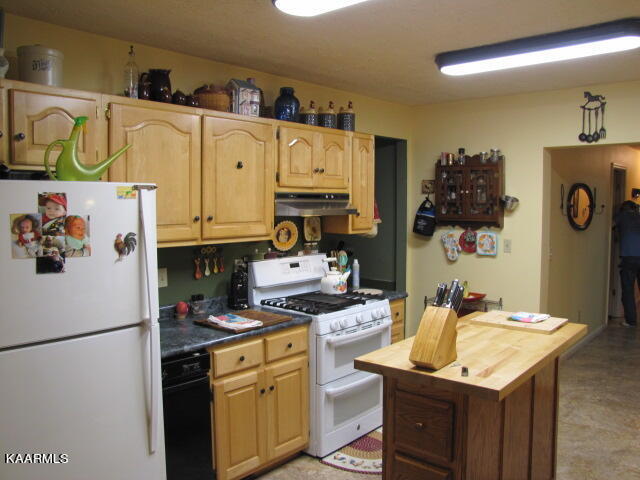 202 Manchester Road Kingston, TN 37763 - Photo 7 of 11 IMG_0002