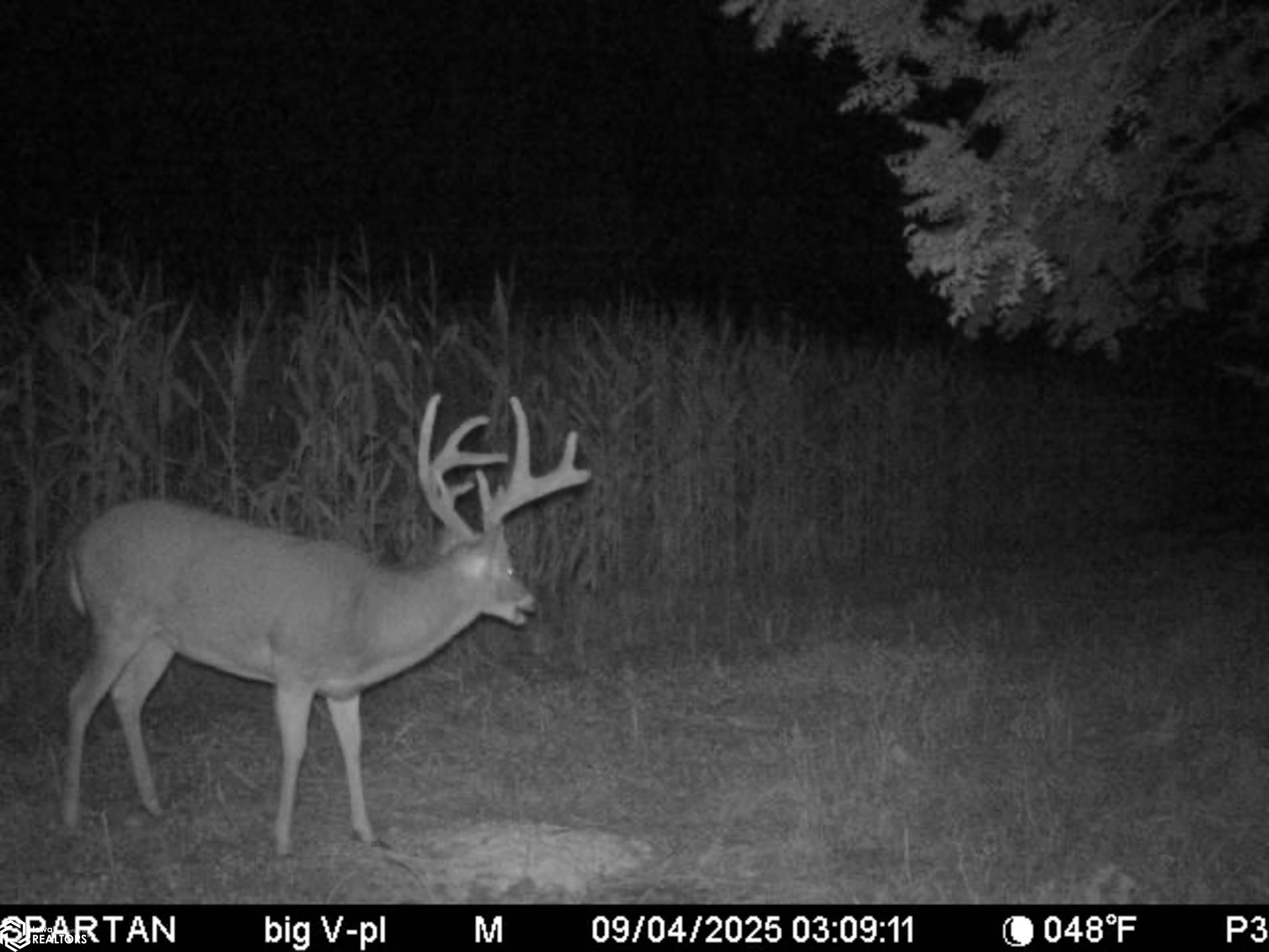 194th Avenue Decatur, IA 50067 - Photo 7 of 50 Gallery Image 7