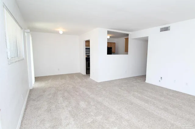 a view of a big room with closet and windows