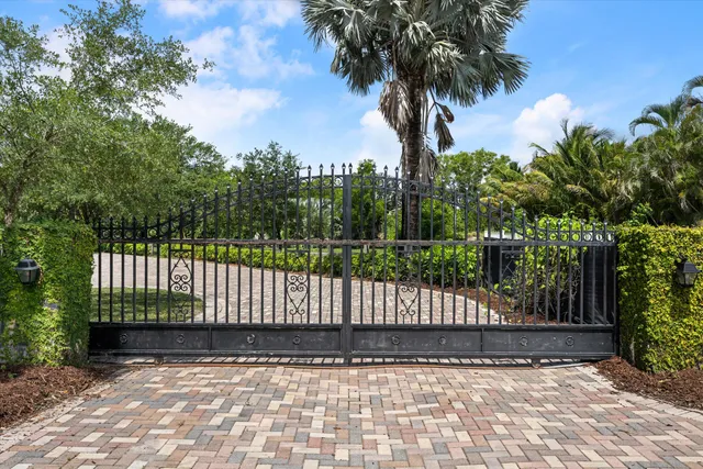 a view of a garden with palm trees