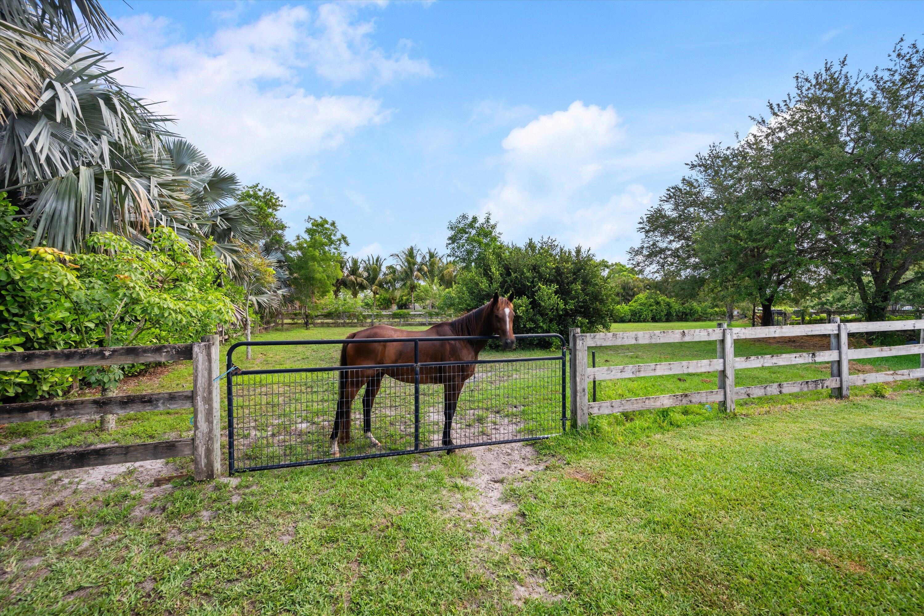 19986 Black Falcon Road Loxahatchee, FL 33470 - Photo 54 of 105 056-DSC_3957