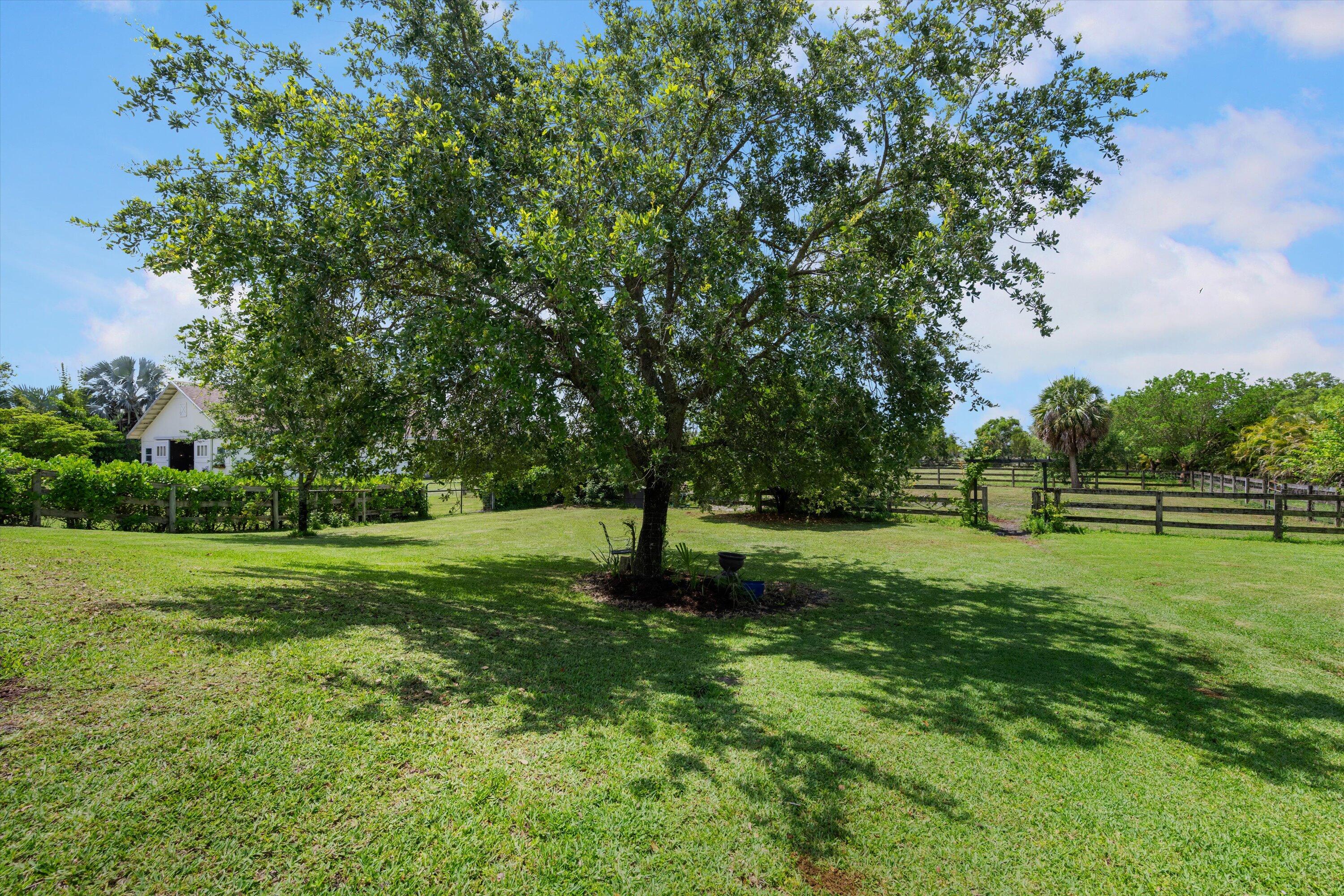 19986 Black Falcon Road Loxahatchee, FL 33470 - Photo 60 of 105 062-DSC_3989