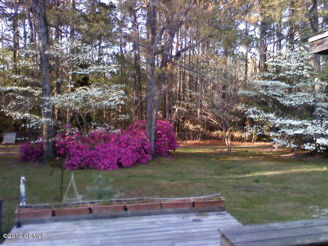 204 Graham Road Newport, NC 28570 - Photo 3 of 20 Backyard