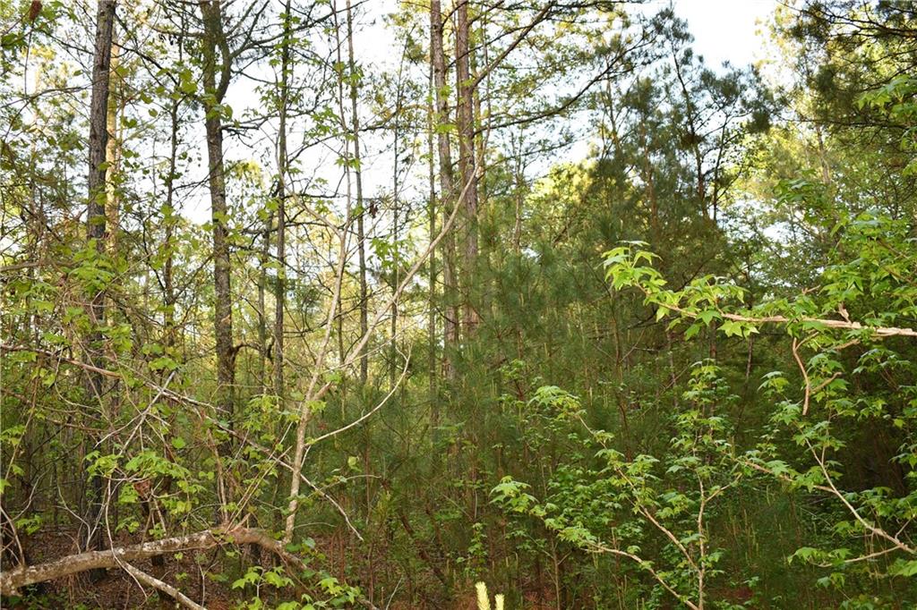 4 Windridge Lane Temple, GA 30179 - Photo 13 of 16 a view of a yard