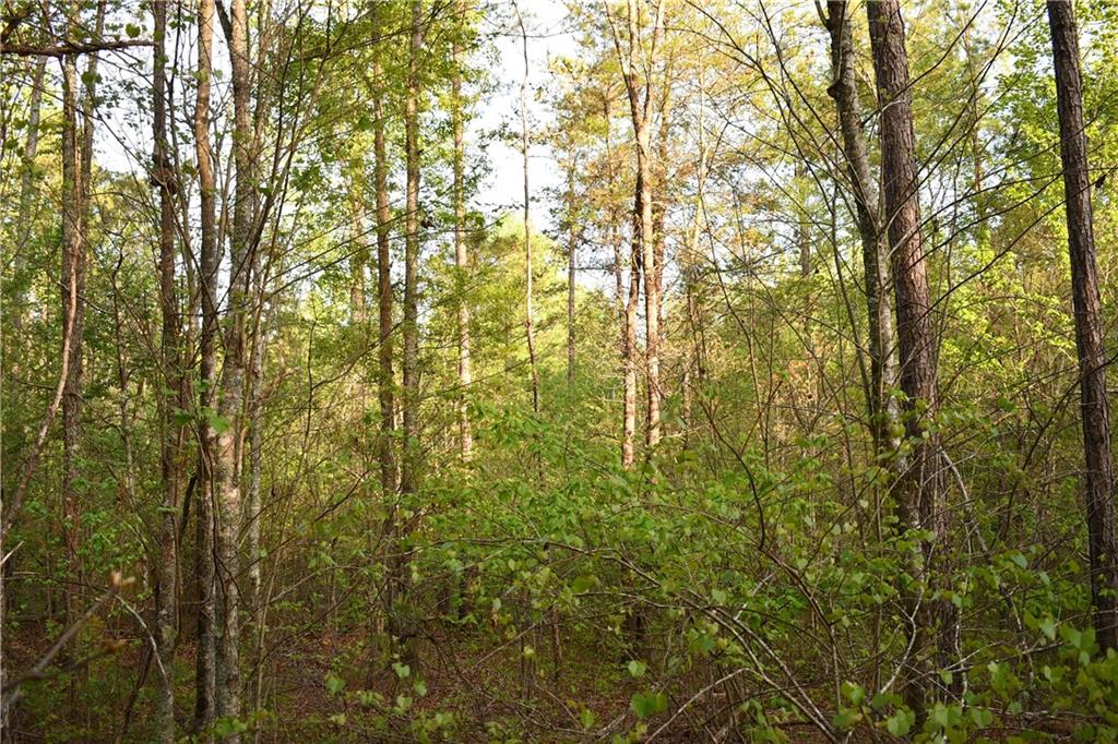 4 Windridge Lane Temple, GA 30179 - Photo 14 of 16 a view of a yard