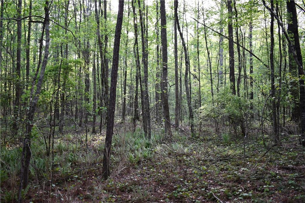 4 Windridge Lane Temple, GA 30179 - Photo 2 of 16 a view of outdoor space and trees