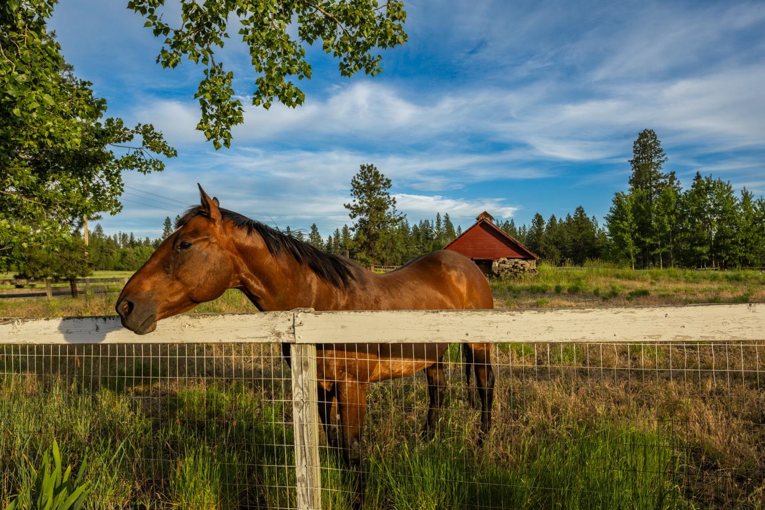 6210 South Mack Road Spokane, WA 99224 - Photo 44 of 50