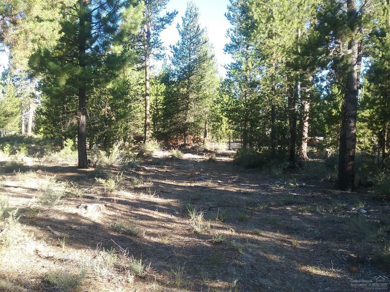 17 Bills Road Gilchrist, OR 97737 - Photo 8 of 17 Gallery Image 8
