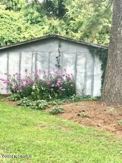 339 Herman Taylor Road Faison, NC 28341 - Photo 20 of 22 IMG_8992