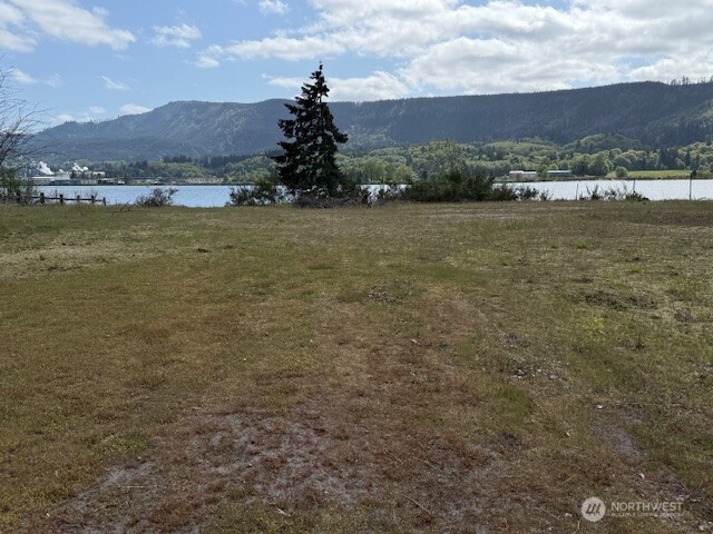 293 North Welcome Slough Road Cathlamet, WA 98612 - Photo 4 of 24 Gallery Image 4