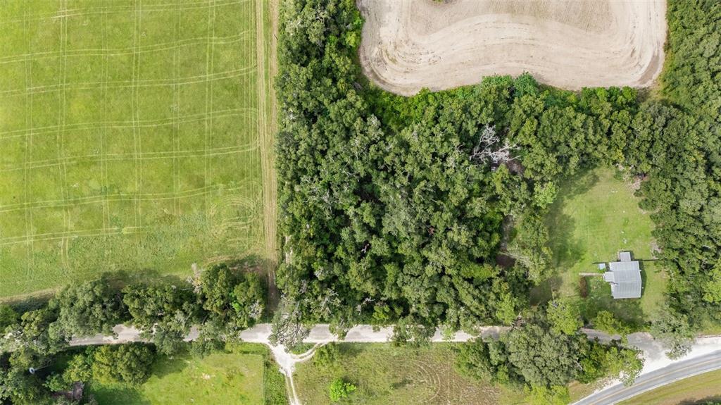 0 Southwest 30th Avenue Southwest Newberry, FL 32669 - Photo 11 of 14