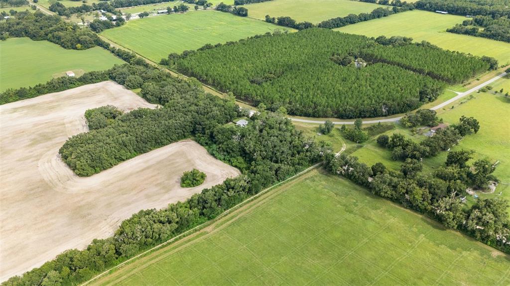 0 Southwest 30th Avenue Southwest Newberry, FL 32669 - Photo 13 of 14