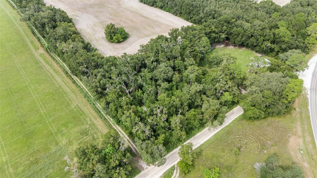 0 Southwest 30th Avenue Southwest Newberry, FL 32669 - Photo 2 of 14
