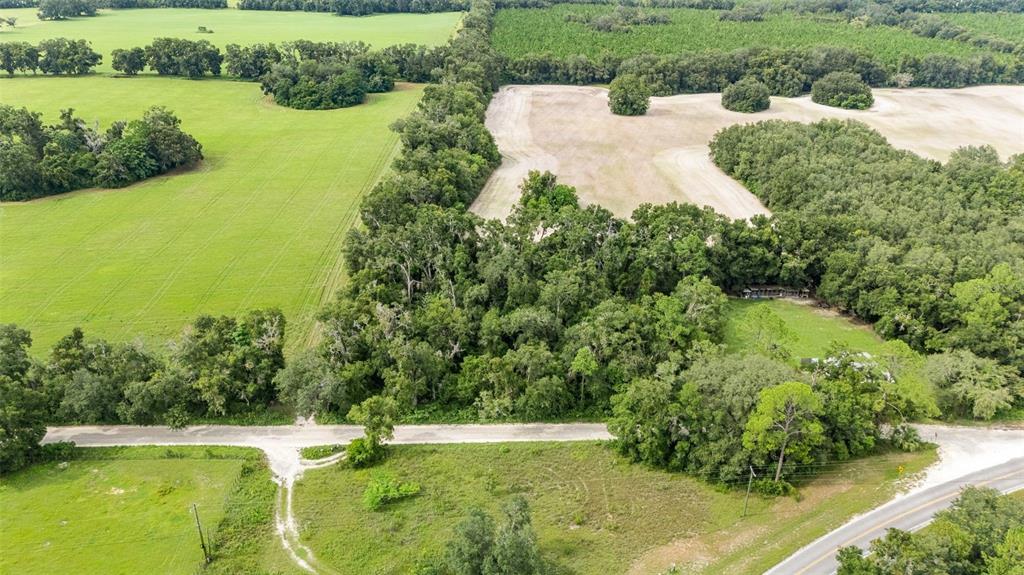 0 Southwest 30th Avenue Southwest Newberry, FL 32669 - Photo 4 of 14