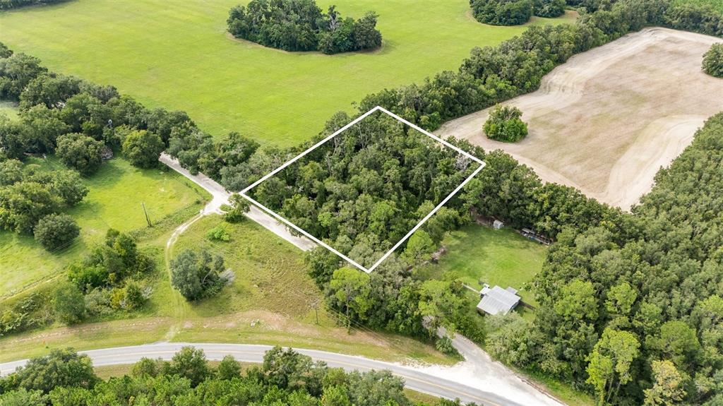 0 Southwest 30th Avenue Southwest Newberry, FL 32669 - Photo 6 of 14