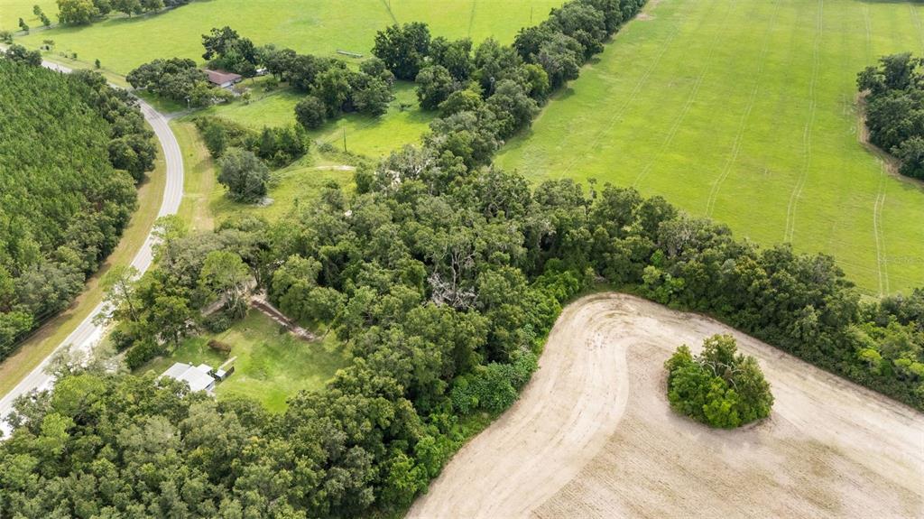 0 Southwest 30th Avenue Southwest Newberry, FL 32669 - Photo 8 of 14