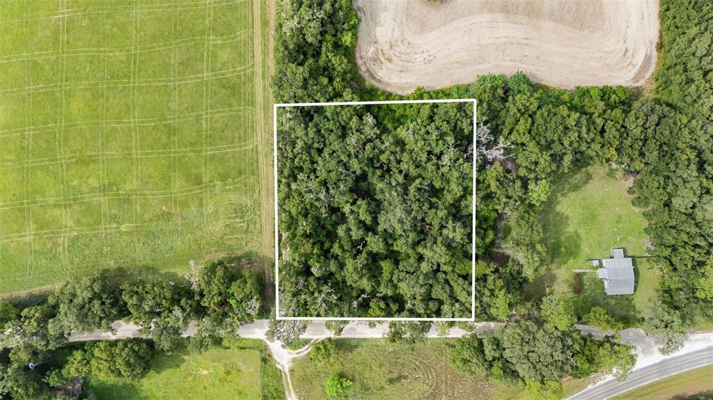 0 Southwest 30th Avenue Southwest Newberry, FL 32669 - Photo 10 of 14