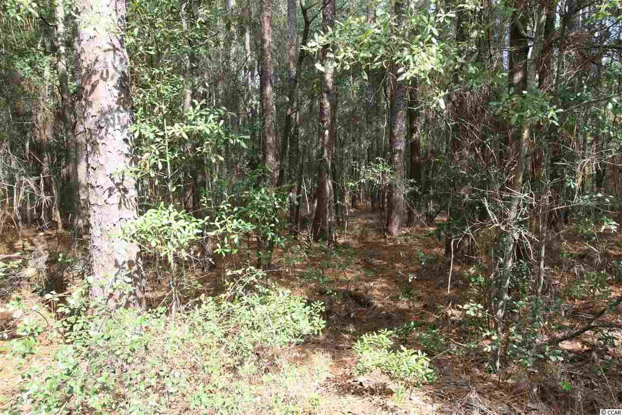 Lot 19 Arcadia Road Pawleys Island, SC 29585 - Photo 1 of 15 Gallery Image 1