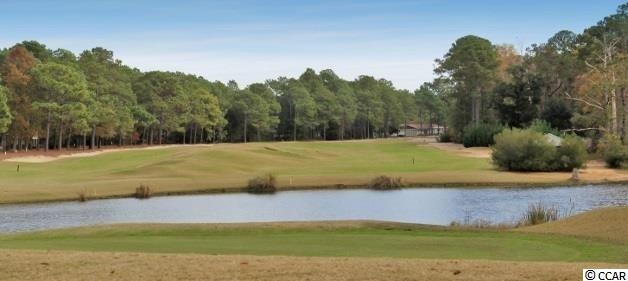 Lot 19 Arcadia Road Pawleys Island, SC 29585 - Photo 13 of 15 Gallery Image 13