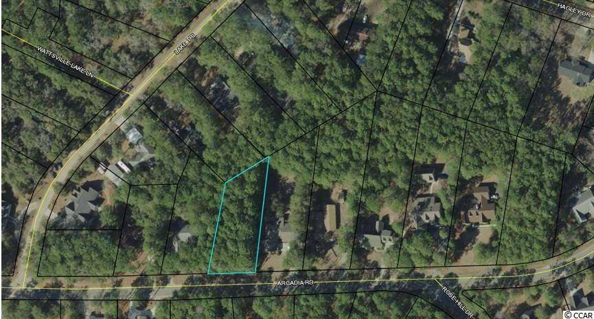 Lot 19 Arcadia Road Pawleys Island, SC 29585 - Photo 3 of 15 Gallery Image 3