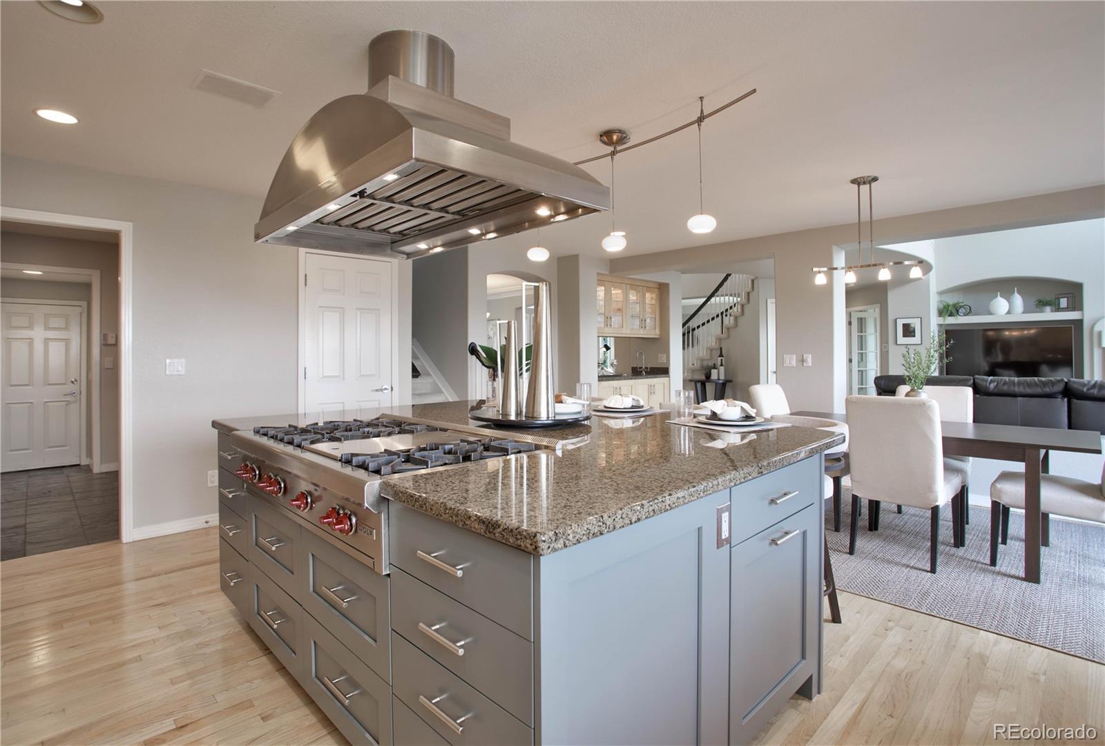 1187 Jesse Court Highlands Ranch, CO 80126 - Photo 17 of 48