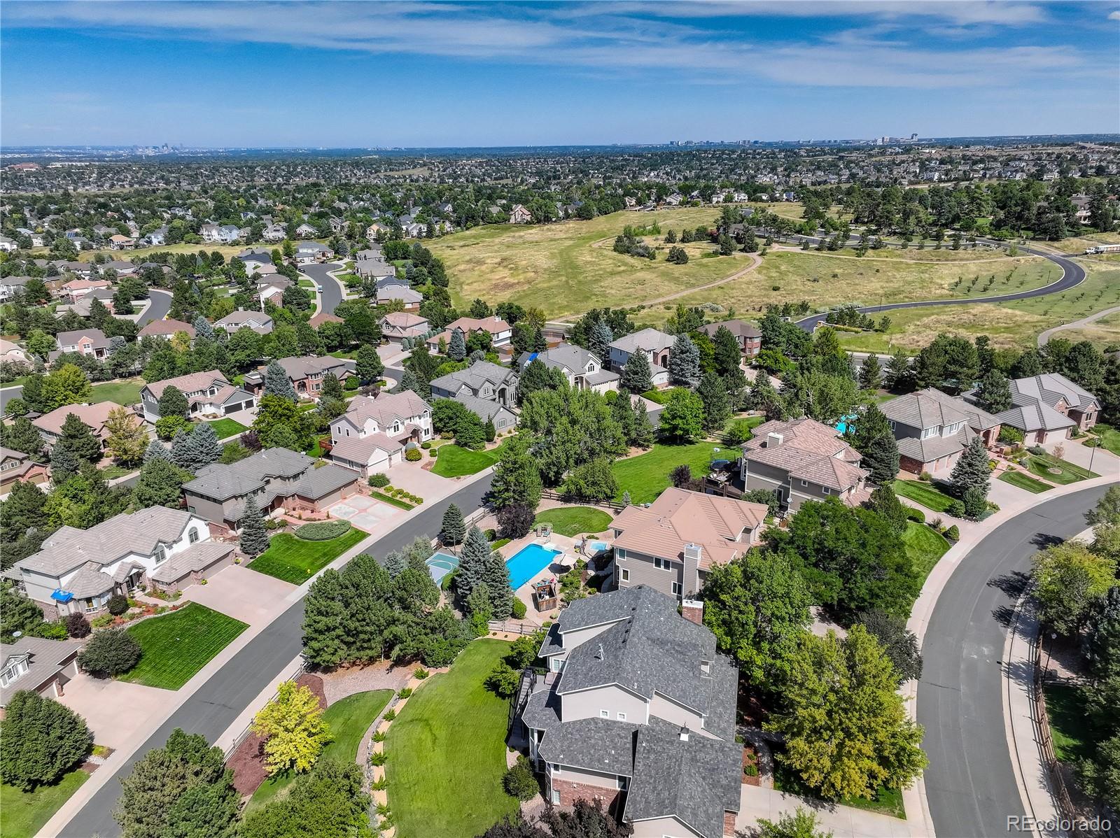 1187 Jesse Court Highlands Ranch, CO 80126 - Photo 7 of 48