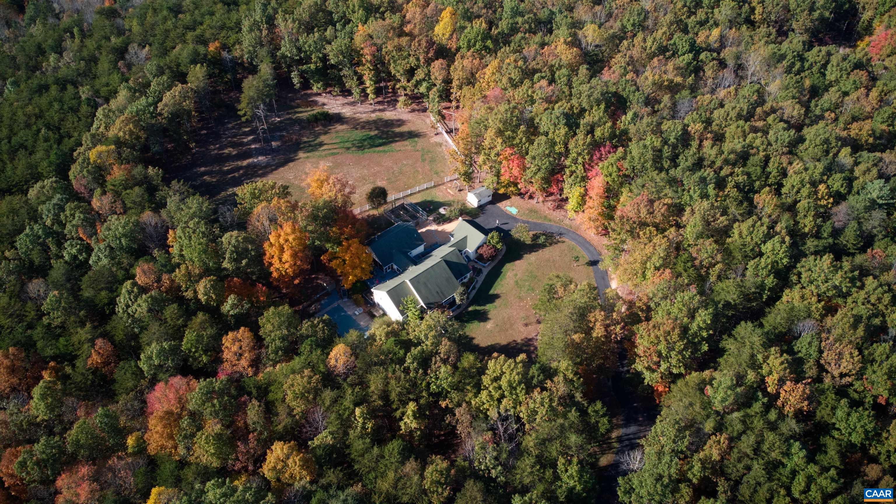 340 Beaver Pond Ridge Troy, VA 22974 - Photo 53 of 53 a picture of tree