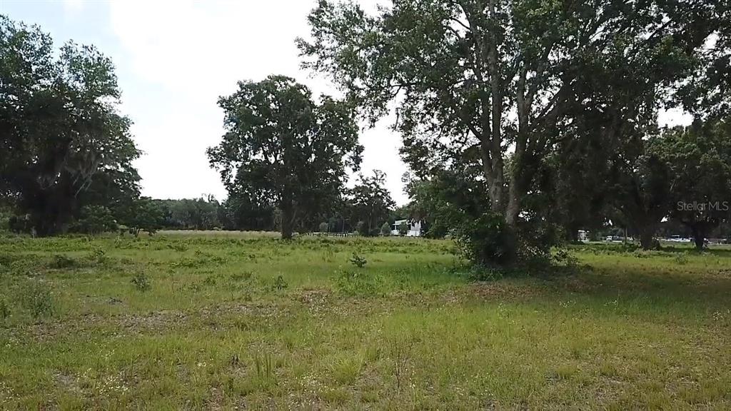 1020 Duck Box Road Umatilla, FL 32784 - Photo 10 of 13