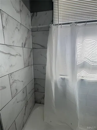 $1,300 | 919 South Boyle Avenue, Unit 923, St. Louis, MO 63110