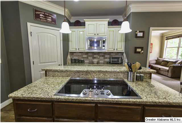 145 Shetland Trail Alabaster, AL 35007 - Photo 7 of 32
