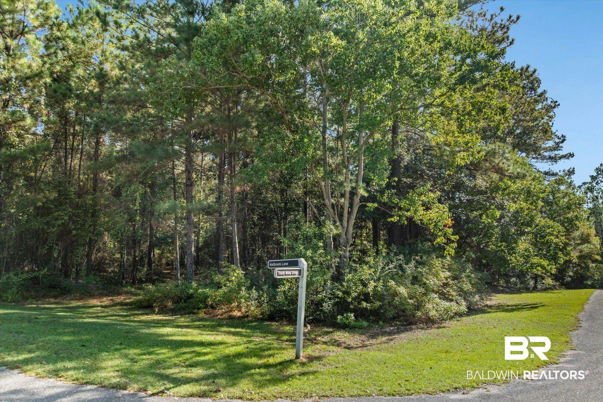 33244 Trinity Wood Drive Loxley, AL 36551 - Photo 1 of 14