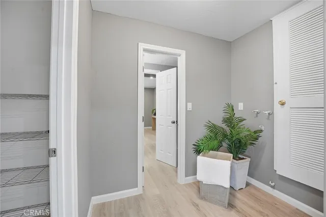 a room with a potted plant and wooden floor