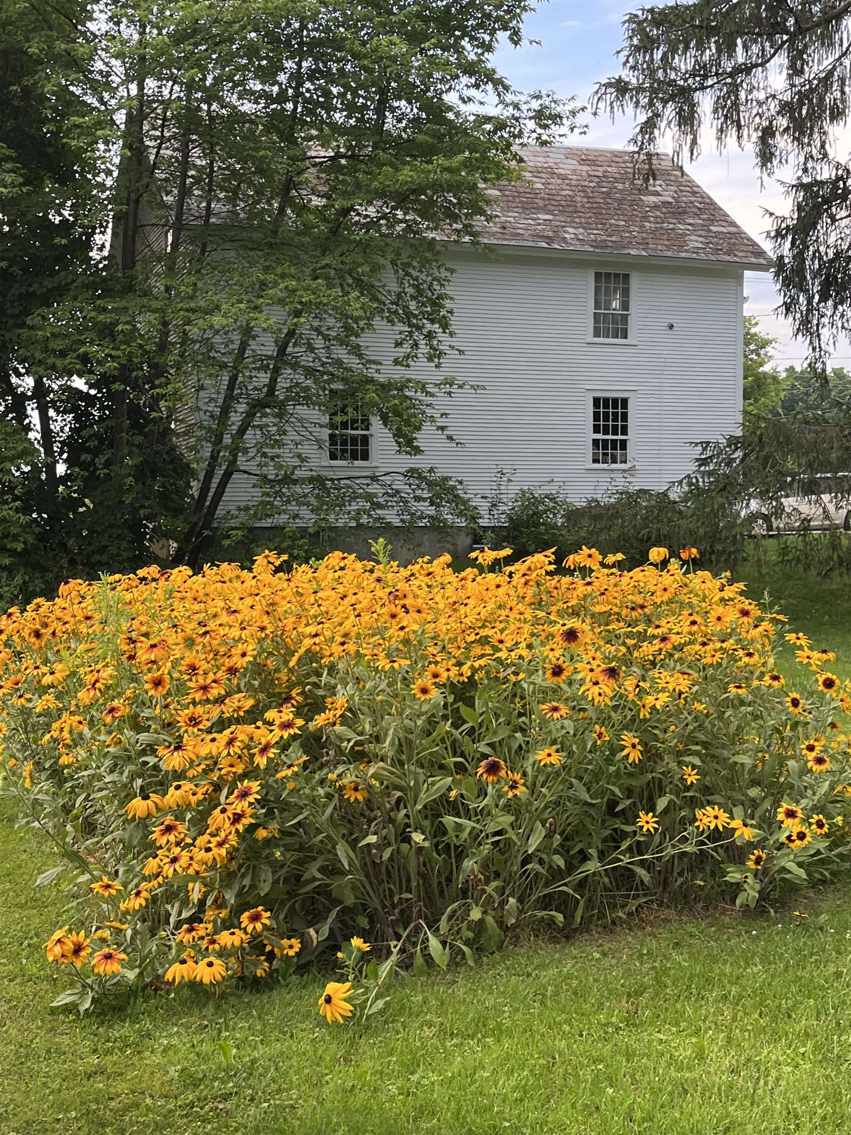 3497 Middle Road Clarendon, VT 05759 - Photo 33 of 54