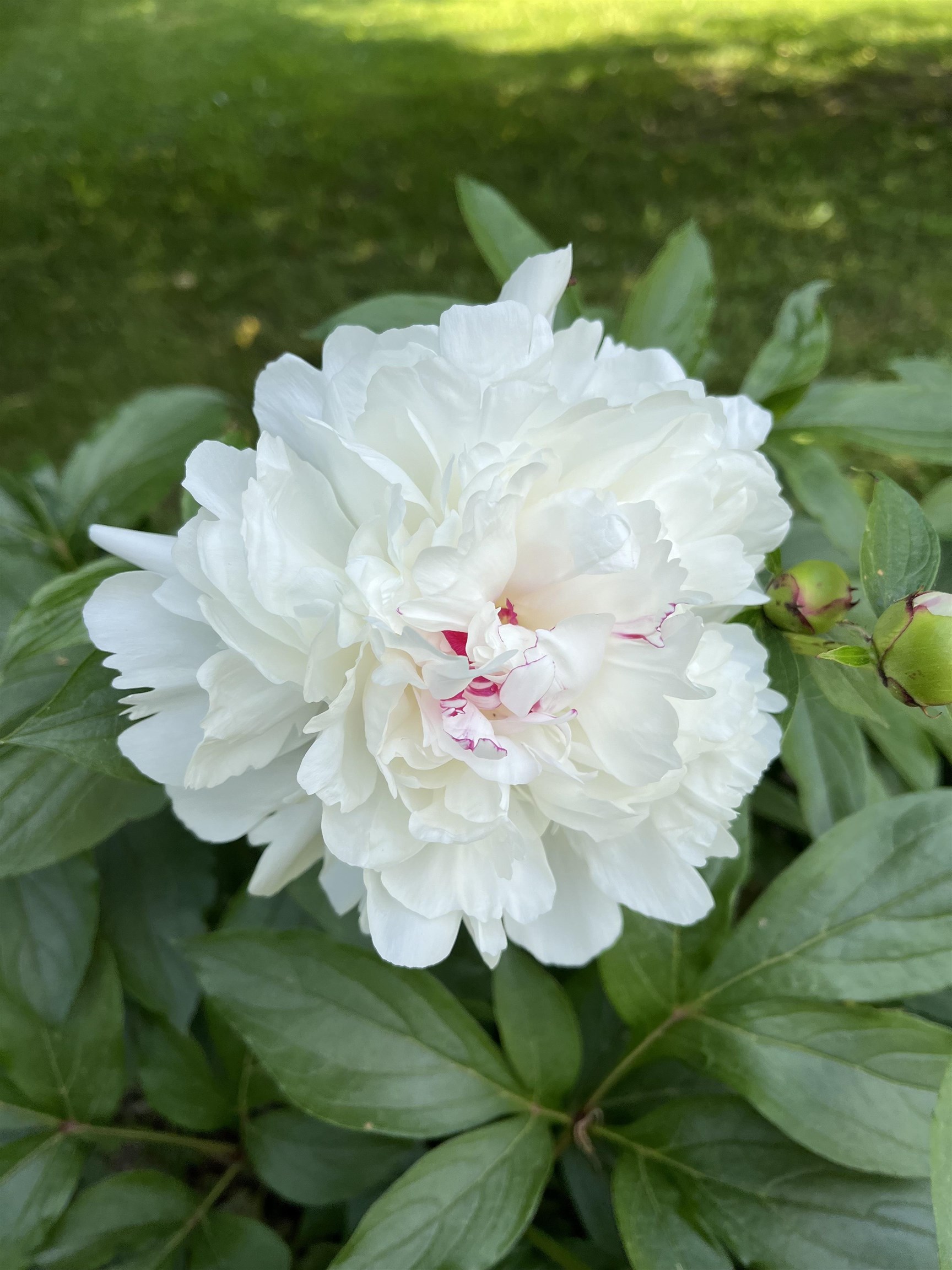 3497 Middle Road Clarendon, VT 05759 - Photo 34 of 54