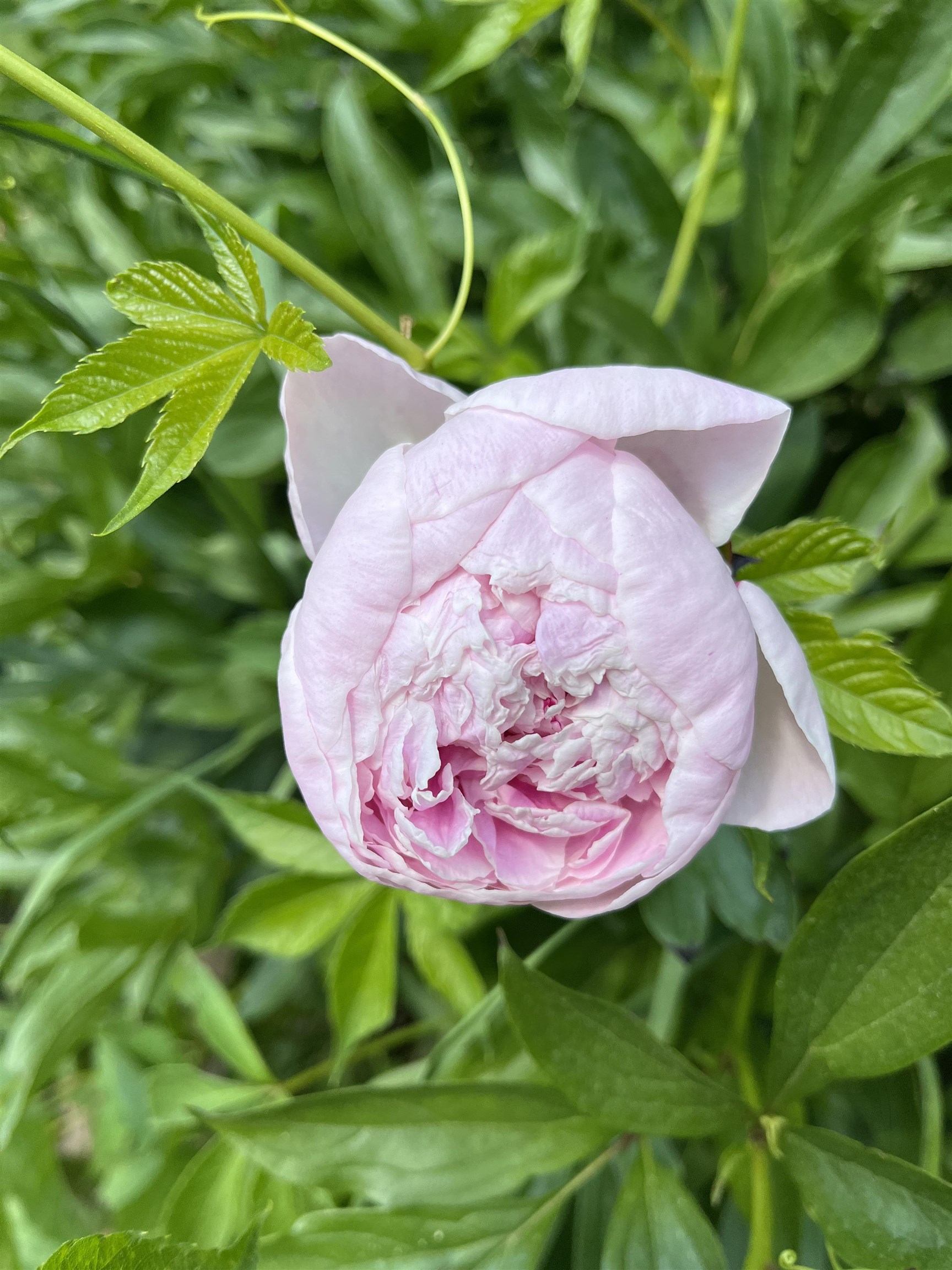 3497 Middle Road Clarendon, VT 05759 - Photo 35 of 54