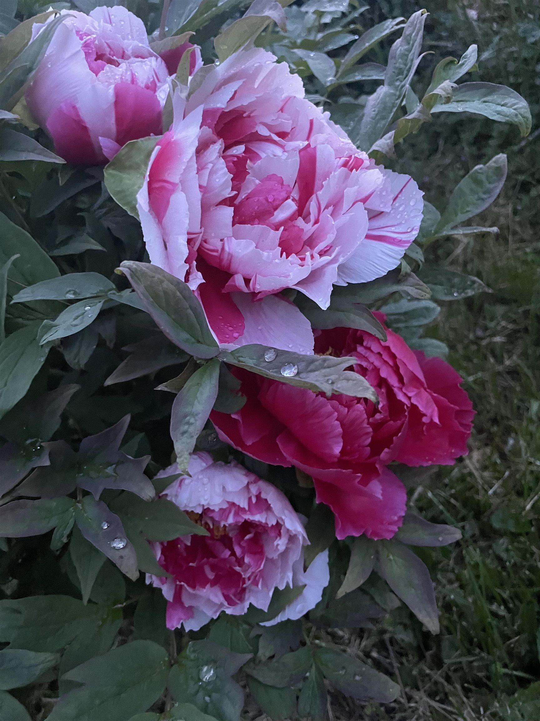 3497 Middle Road Clarendon, VT 05759 - Photo 36 of 54