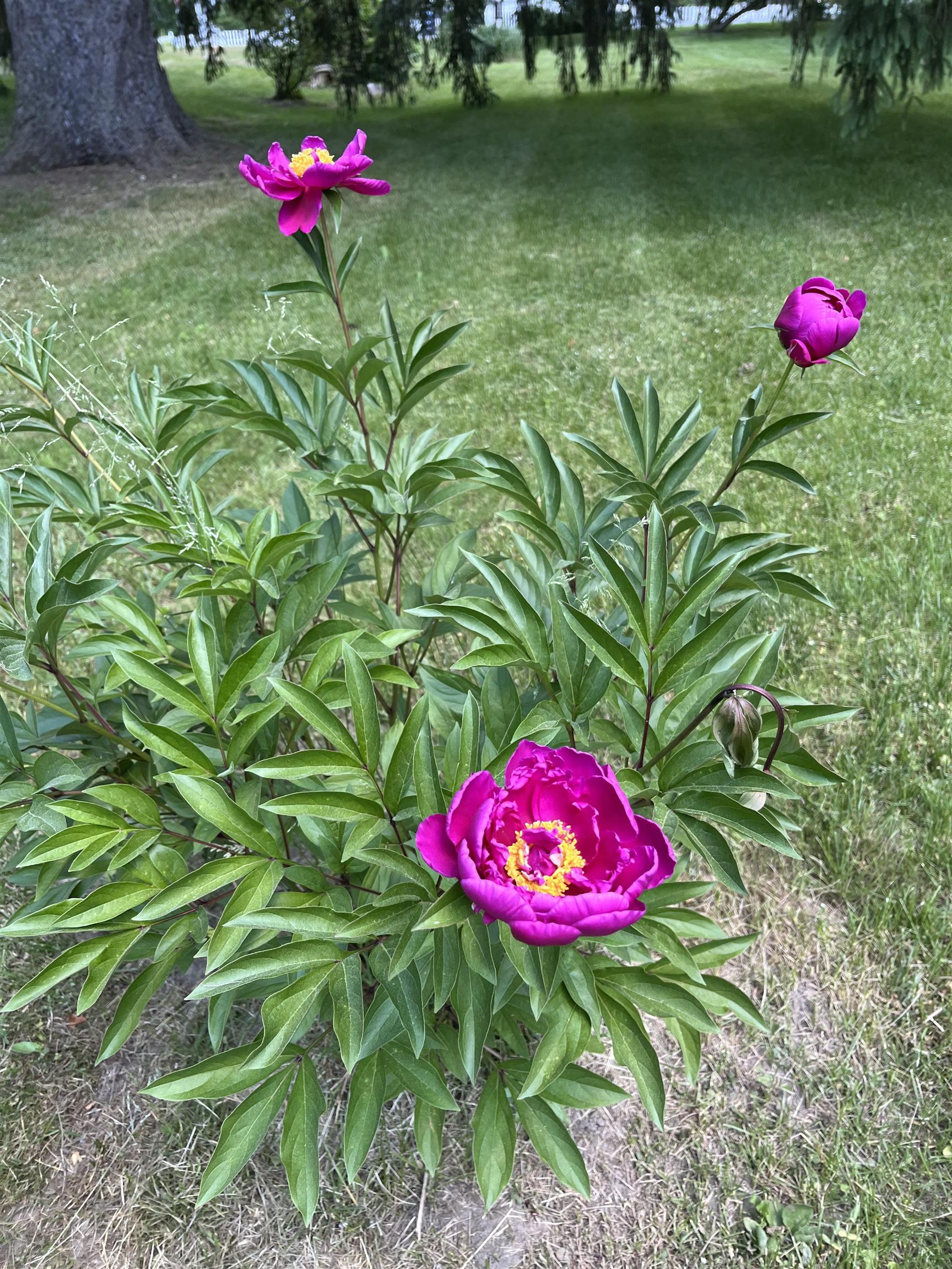 3497 Middle Road Clarendon, VT 05759 - Photo 38 of 54