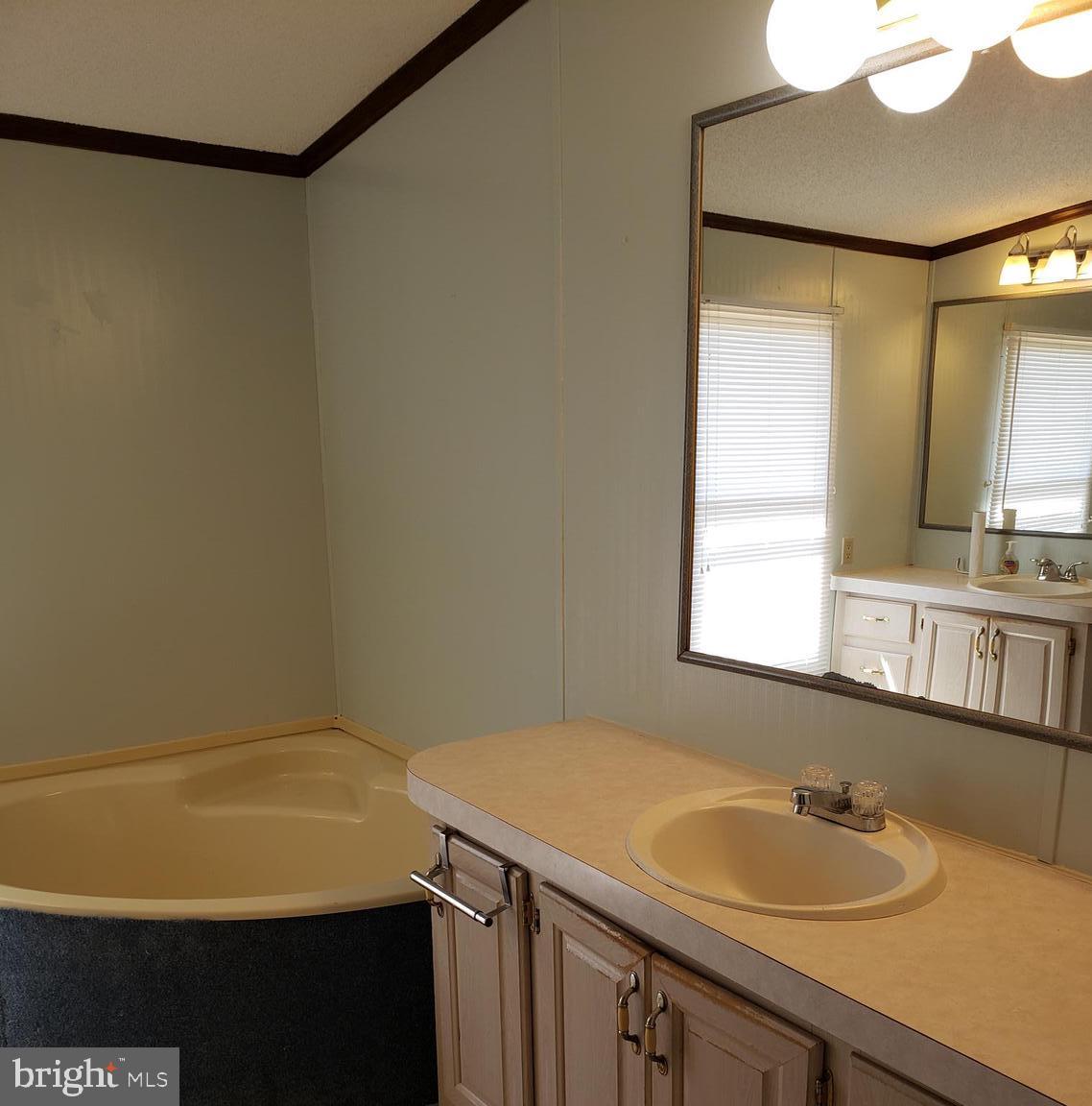 170 Days Bridge Road Mineral, VA 23117 - Photo 26 of 36 master bathtub with sink