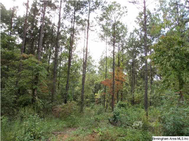 22 Highway Ac Al, Unit 89 Daviston, AL 36256 - Photo 7 of 10