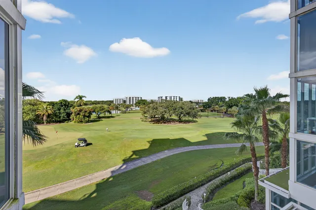 a view of a yard with a palm tree