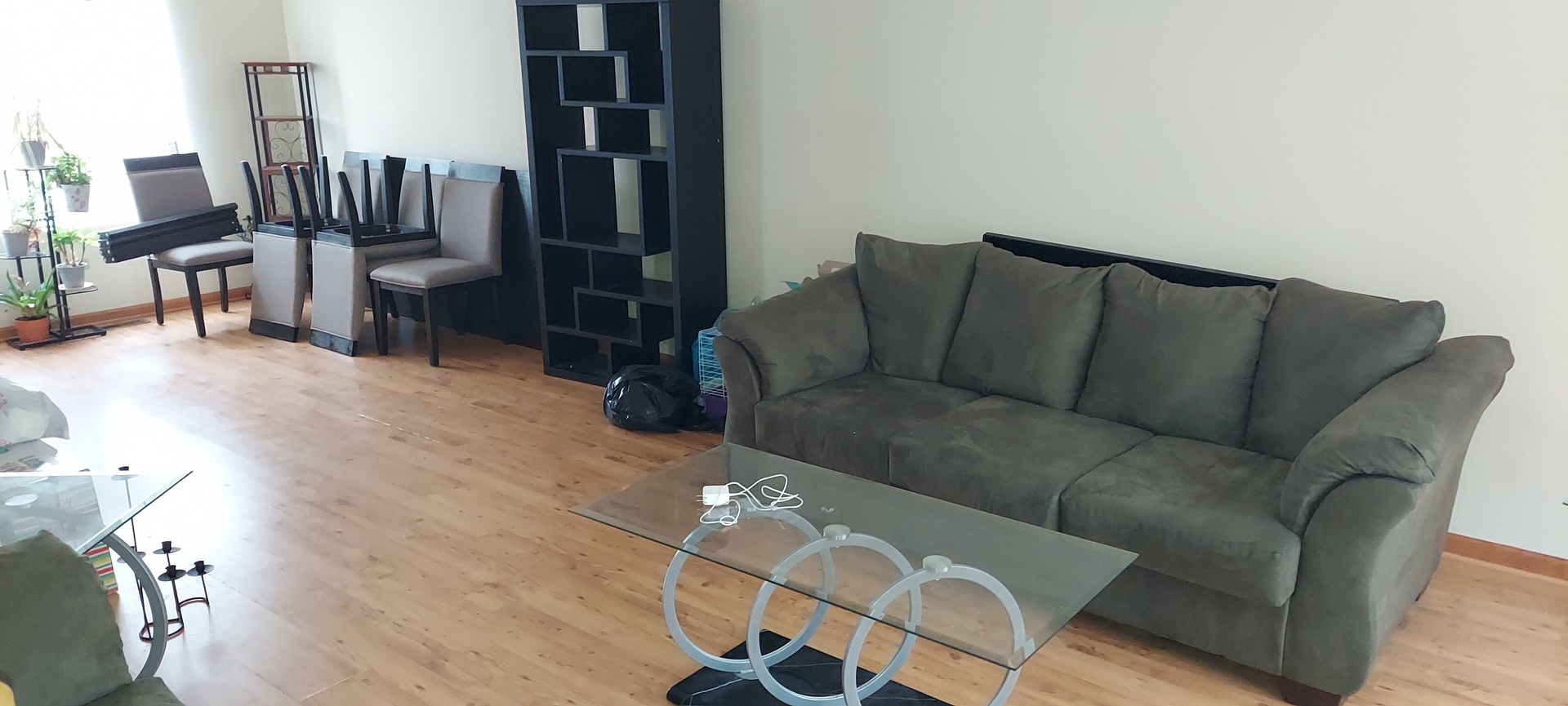 5204 Pine Trails Circle Plainfield, IL 60586 - Photo 2 of 6 a living room with furniture and a rug