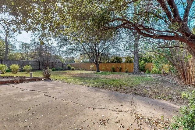 a view of a tree in the middle of a yard