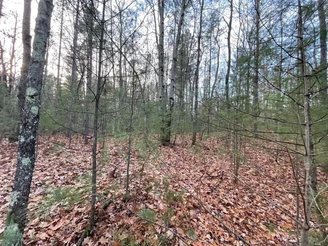 $159,900 | V/l V/l Forest, Wellston, MI 49689