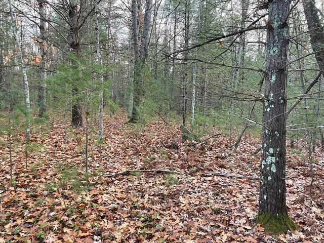 $159,900 | V/l V/l Forest, Wellston, MI 49689